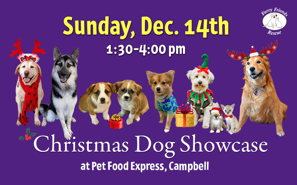 Dec. 14th, Sunday | Christmas Dog Showcase at Pet Food Express, Campbell