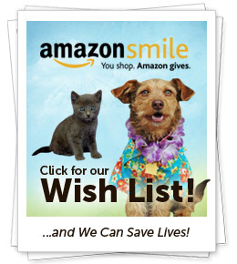 Click for our Wish List!